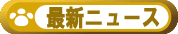 �ŐV�j���[�X